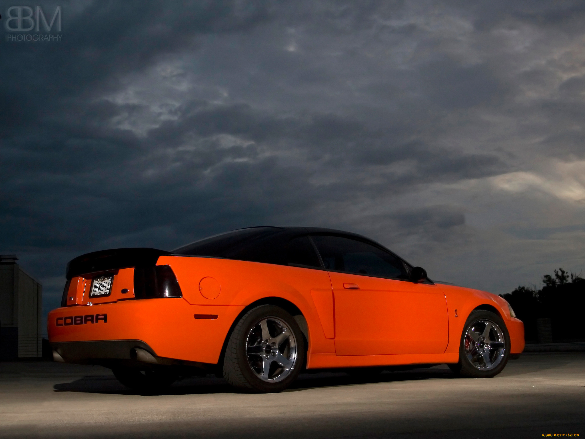 , mustang